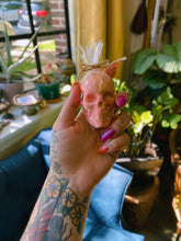 Load image into Gallery viewer, Peach Bavarian Shower Skull