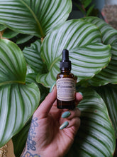 Load image into Gallery viewer, Weed Witches & Morning Sex Magick Euphoric Anointing Oil