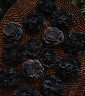 Night Blooms Bar Soap